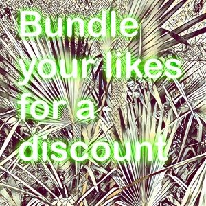 Bundle 🌺